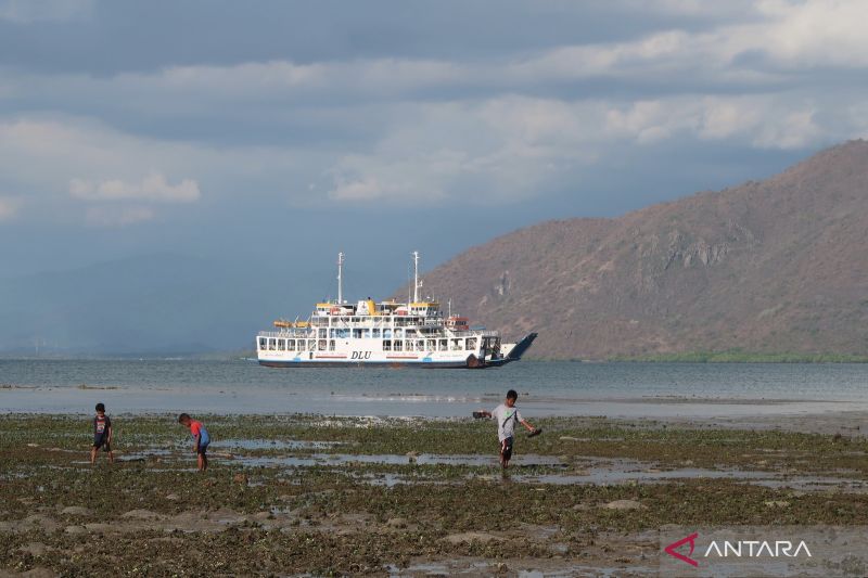 Ancaman Perubahan Iklim Terhadap Pulau Kecil di NTB