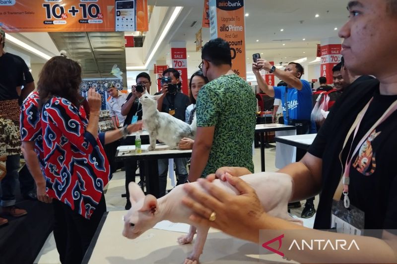 Promosi Motif Batik Cirebon dalam Ajang International Cat Show 2024