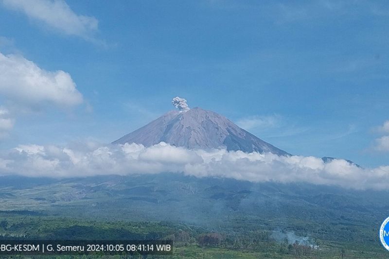 Erupsi Gunung Semeru Terjadi dengan Letusan Hingga 500 Meter