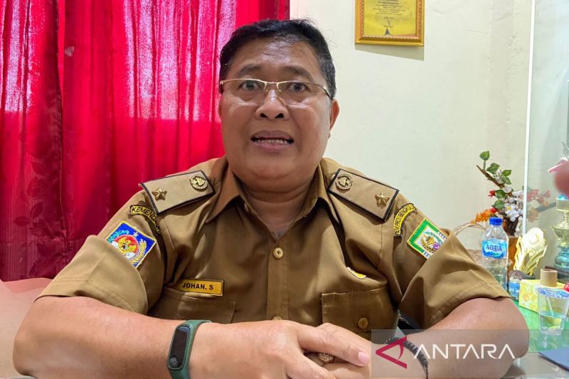 Harga Jual TBS Sawit di Bengkulu Turun Jadi Rp2.550 per Kg