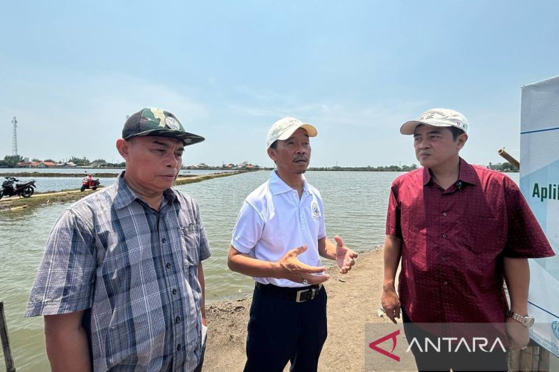 KKP Dukung Izin Edar Biostimulan Berbasis Rumput Laut di Karawang