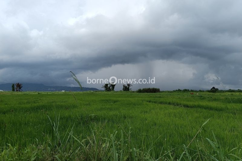 Potensi Cuaca Ekstrem Menyapa Sulawesi Utara hingga Awal Pekan