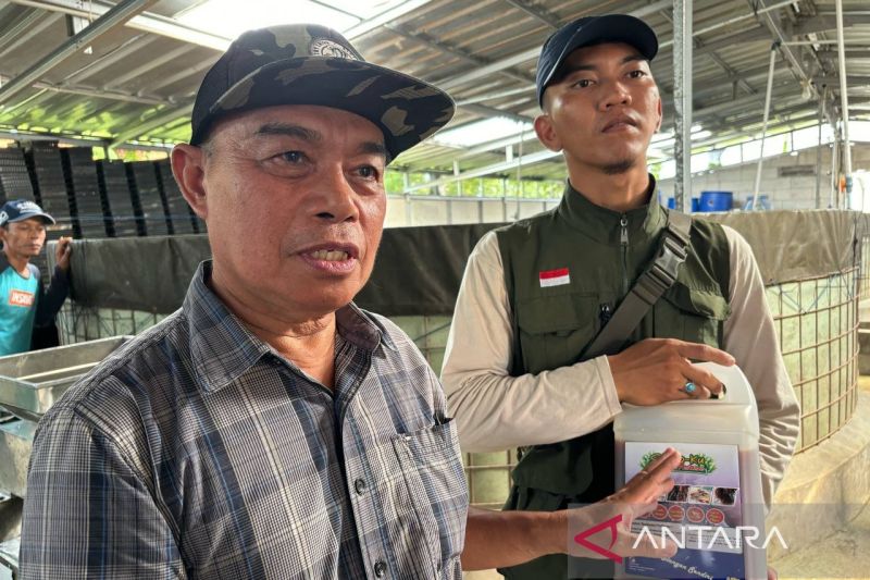 Biostimulan Rumput Laut Tingkatkan Kualitas Air Budidaya Ikan