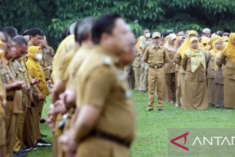 Pendaftaran PPPK 2024 di Subang Dibuka untuk 1.090 Formasi