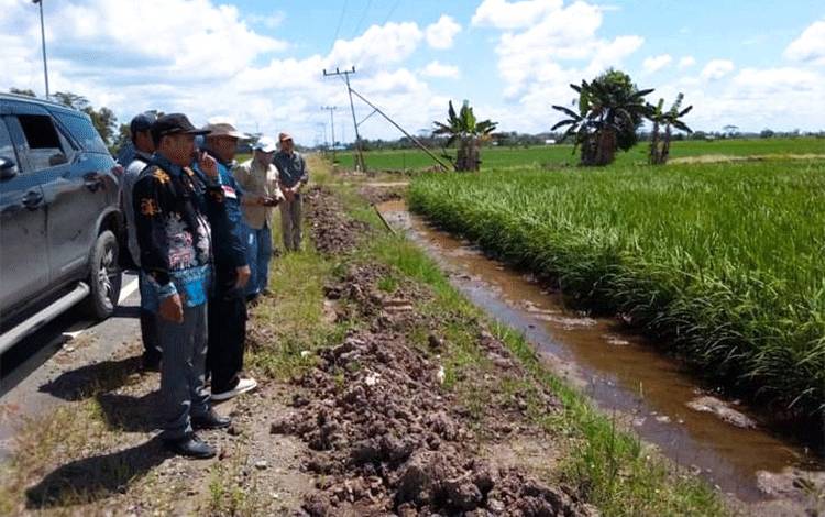Penurunan NTPP di Kalteng September 2024 Akibat Turunnya Harga Kelompok Padi