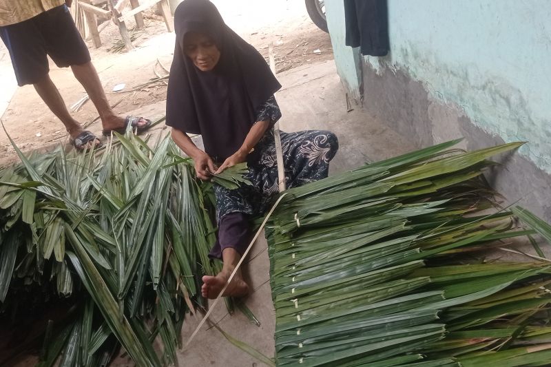 Perajin Atap Rumbia di Lebak Kesulitan Pasokan Daun Kiray