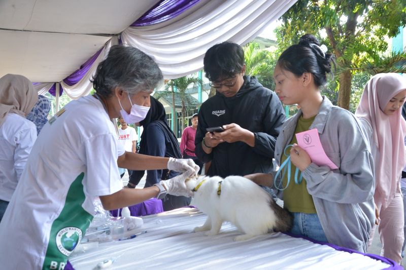 Meningkatkan Kesadaran dan Pencegahan Rabies di Lampung