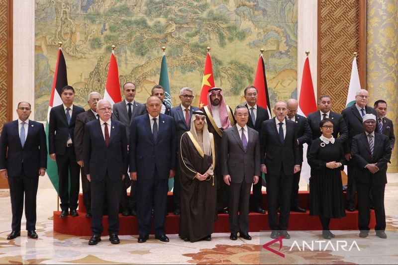 Dukungan Liga Arab dan OKI untuk Palestina di Tengah Konflik Israel