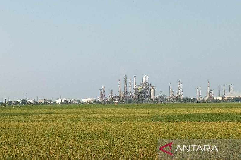 Pemkab Indramayu Sediakan 10 Ribu Hektare untuk Pertanian Modern