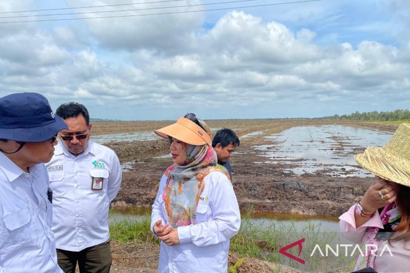 Kementan Dukung Petani Milenial Kembangkan Pertanian Modern di Kapuas