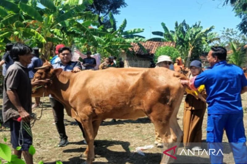Pamekasan Ajukan Penambahan Dokter Hewan untuk Optimalisasi Layanan
