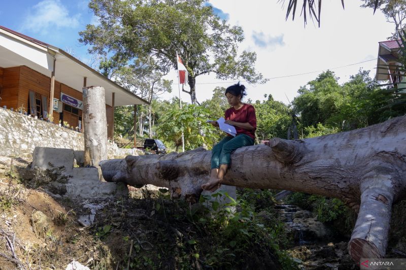 Dukungan Pemerintah Sumbar, Tunjangan Rp12 Miliar untuk Guru Mentawai