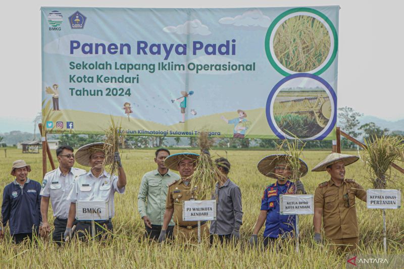Pemkot Kendari Laksanakan Panen Raya Padi Berbasis Iklim