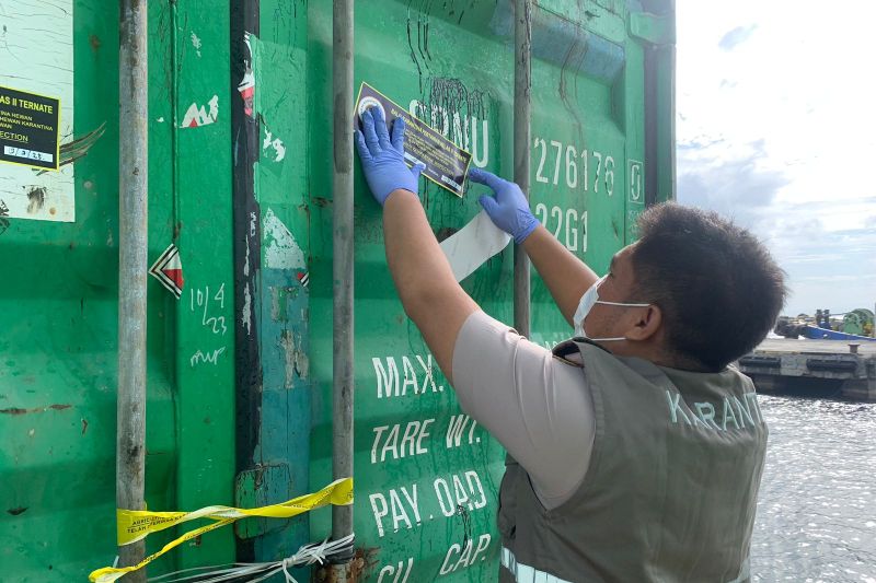 Pemeriksaan Ketat Kulit Sapi Sebelum Dikirim ke Pulau Jawa
