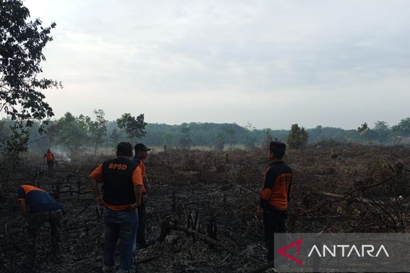 BPBD OKU Timur Catat 35 Kasus Karhutla Selama Musim Kemarau
