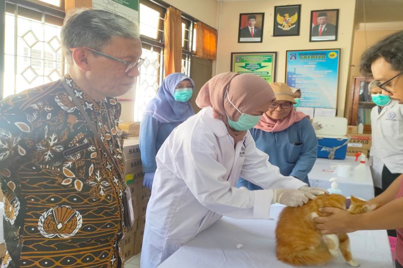 Kegiatan vaksinasi rabies yang dilaksanakan DP3 Kabupaten Sleman pada 2024. ANTARA/HO-DP3 Sleman (Vaksinasi rabies)