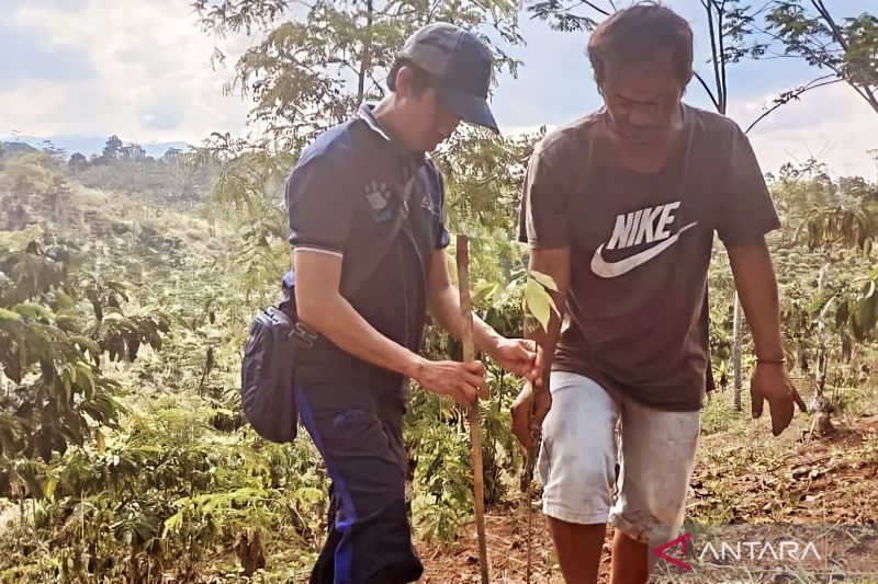 Jejak Bumi Indonesia Tanam 200 Ribu Bibit Pohon untuk Cegah Banjir