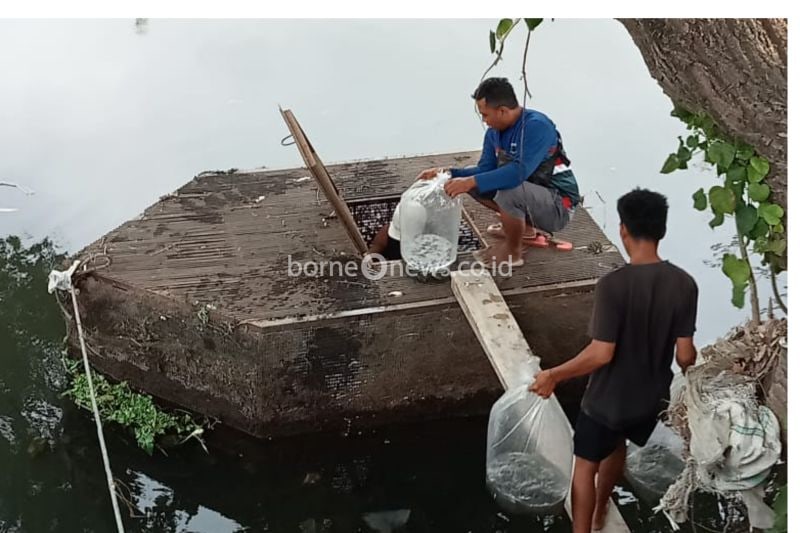 Pemkot Mataram Salurkan Ribuan Bibit Ikan untuk Pemberdayaan Ekonomi