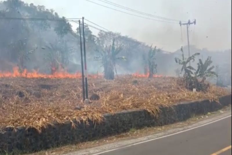 Meningkatnya Kasus Kebakaran Hutan dan Lahan di Lampung Selatan