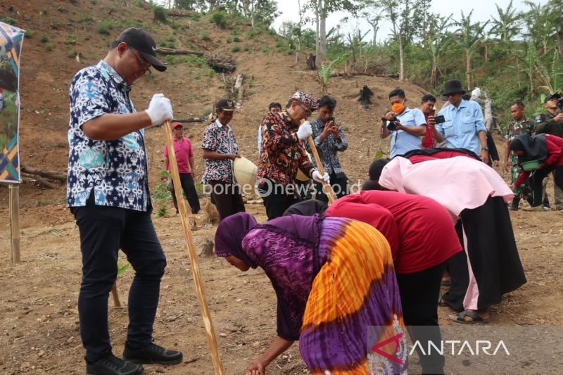 Pemerintah Kuningan Perluas Penanaman Padi Gogo untuk Ketahanan Pangan