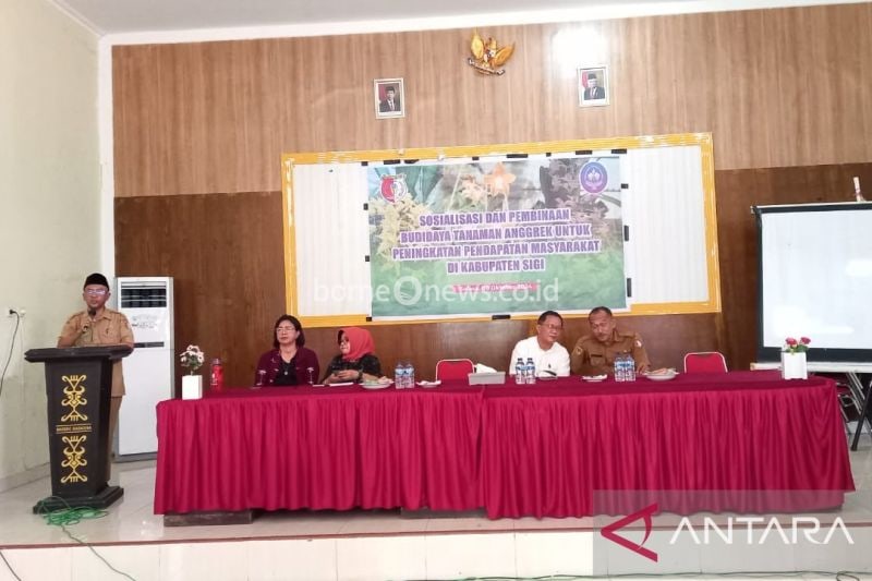 Pengembangan Budidaya Anggrek Tingkatkan Ekonomi Kabupaten Sigi