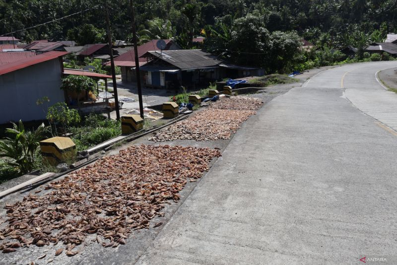 Penguatan Sektor Pertanian Mentawai untuk Cegah Kebocoran Pendapatan