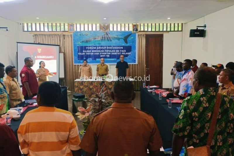 Pemkab Kaimana Lakukan Kajian Untuk Lindungi Populasi Hiu Paus