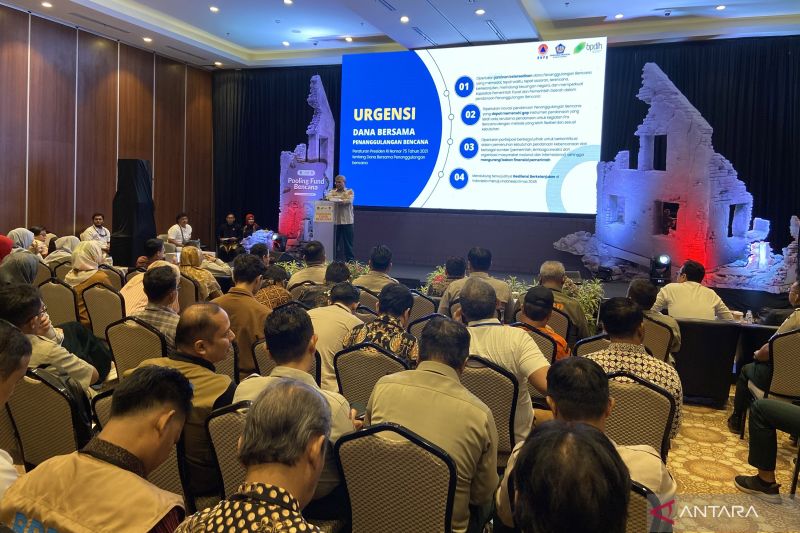 Mengenal Pooling Fund Bencana untuk Kesiapsiagaan Keuangan Negara
