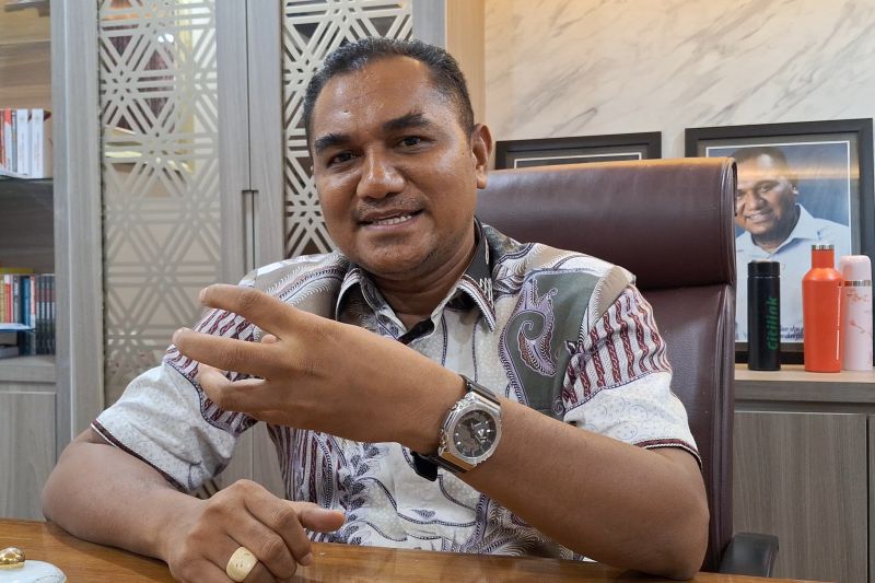 Wakil Ketua Komite II DPD RI periode 2024-2029 Angelo Wake Kako. (ANTARA/HO-Dokumentasi Pribadi)