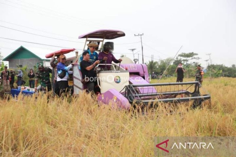 Upaya Banjarmasin Melestarikan Lahan Pertanian di Tengah Pembangunan