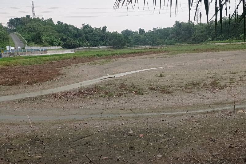 Bendungan Cijoro Rangkasbitung Kabupaten Lebak mengalami kekeringan sehingga terancam petani tidak tanam pada Oktober 2024. ANTARA/Mansyur
