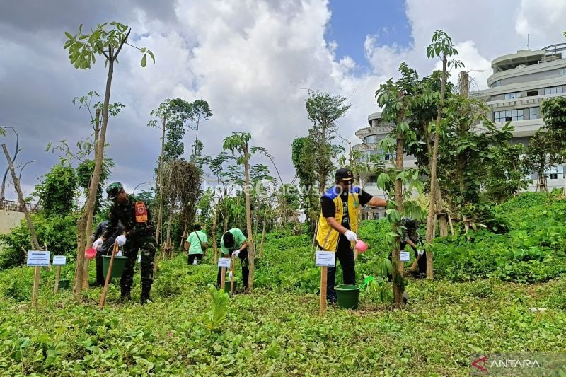 Pemuda Diajak Berpartisipasi Dalam Penanaman Pohon IKN