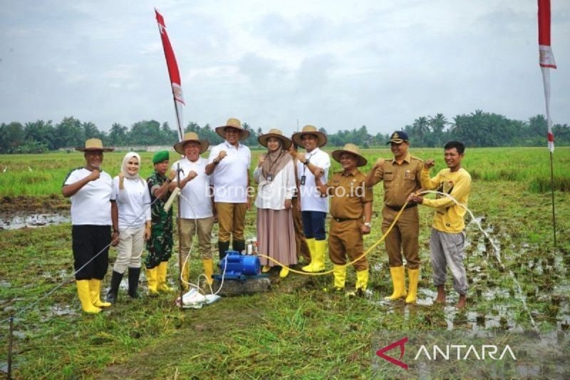 PLN Implementasikan Program Listrik Masuk Sawah di Langkat