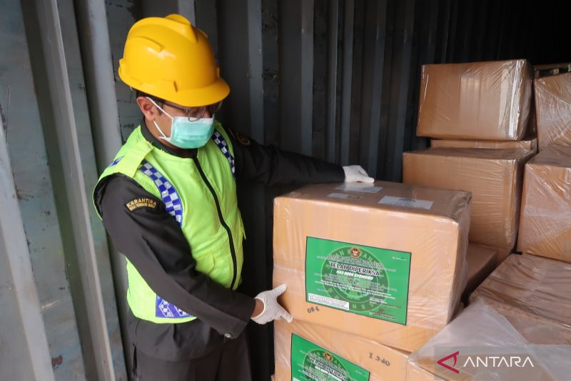 Vanili Organik Lombok, Menarik Perhatian Pasar Global Dan Ekspor