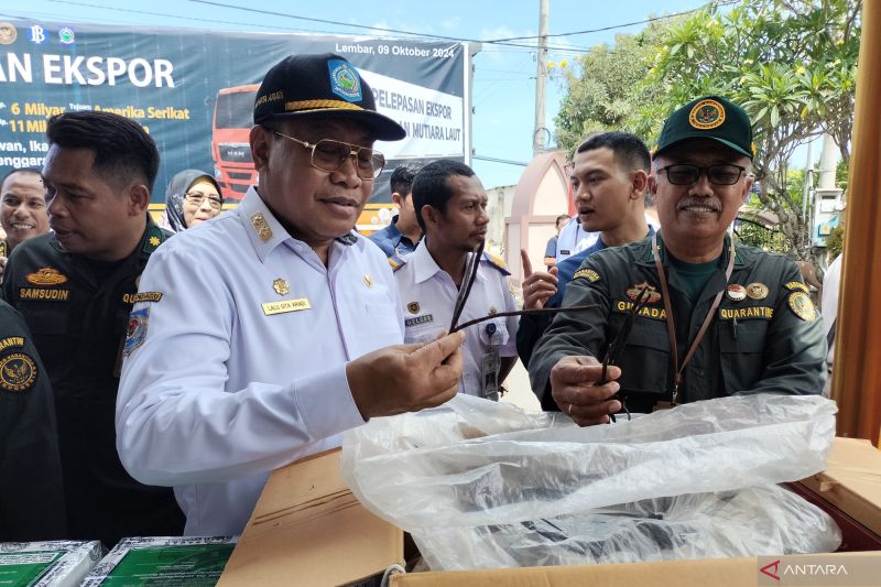 Pemerintah NTB Dorong Petani Gencarkan Budidaya Vanili Organik