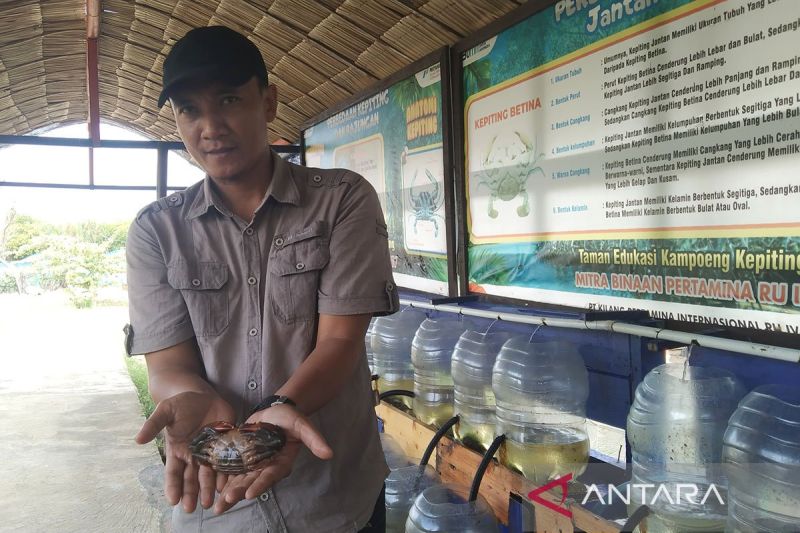 Kelompok Mamaku Cilacap Berdayakan Mantan Buruh Migran dan ABK