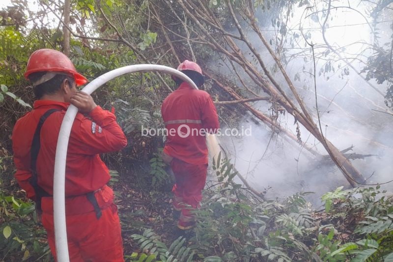 Luas Kebakaran Hutan di Sumsel Capai 9.697 Hektare di 2024
