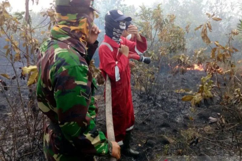 BPBD OKU Selatan Tangani 47 Kasus Karhutla Selama Musim Kemarau