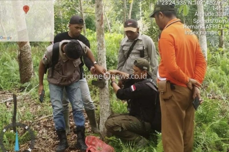 BBKSDA Riau Pasang Kamera Jebak untuk Pantau Jejak Harimau