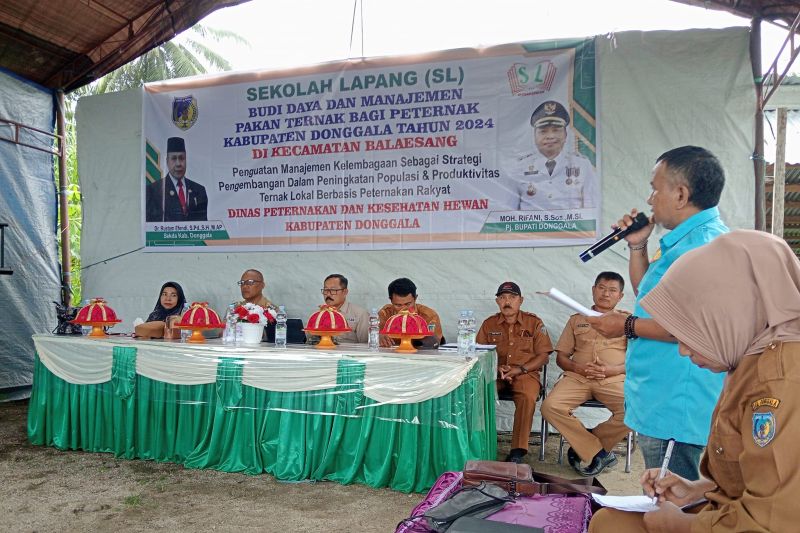 Pemkab Donggala Gelar Pelatihan Pakan Ternak Berkualitas