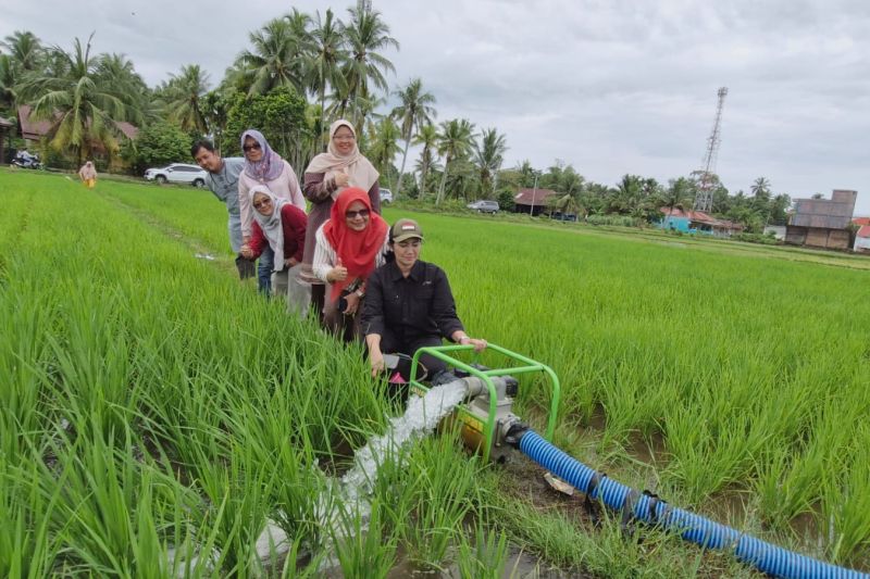 Pemerintah Pariaman Salurkan Bantuan Irigasi untuk 25 Kelompok Tani