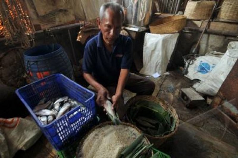 Manfaat Mengonsumsi Ikan Segar dan Potensi Susu Ikan sebagai Sumber Protein