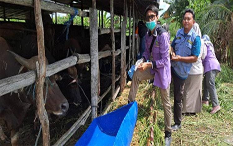 Perlu Strategi Baru untuk Atasi Penurunan Nilai Tukar Petani Peternakan di Kalteng