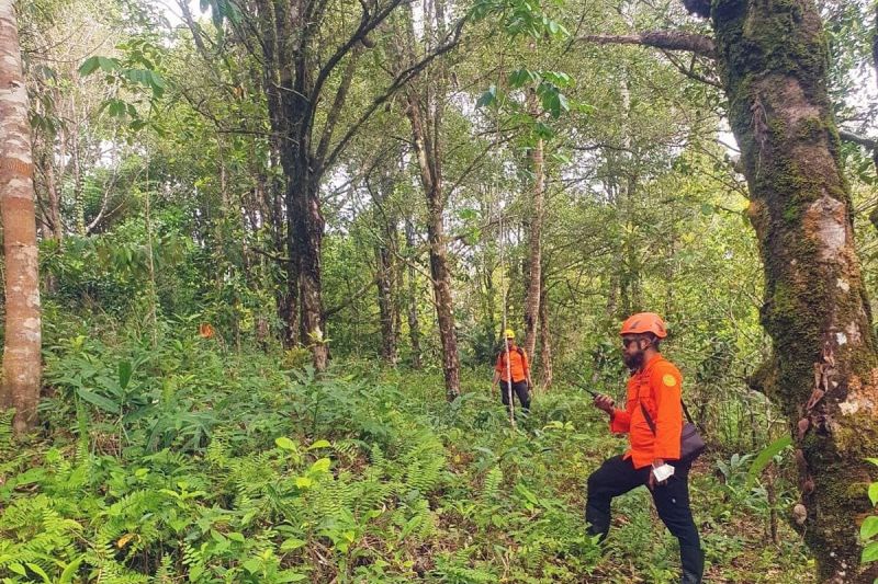 Operasi SAR Berlanjut, Wanita Tua Hilang di Hutan Wanat