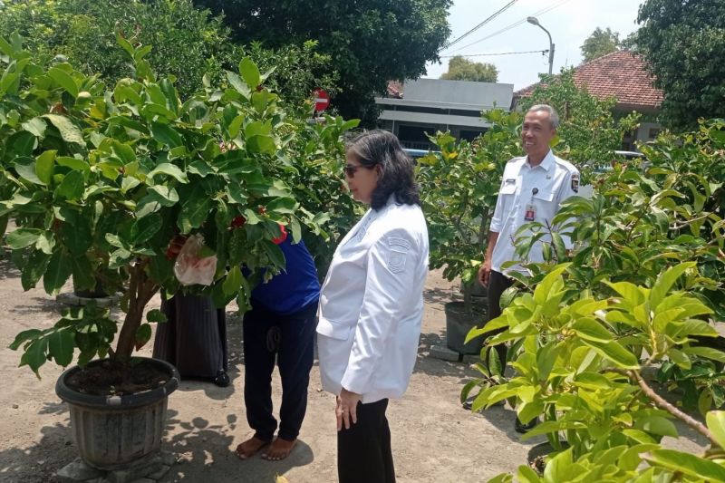 Pemkot Kediri Dukung Pertanian di Lahan Pekarangan Warga