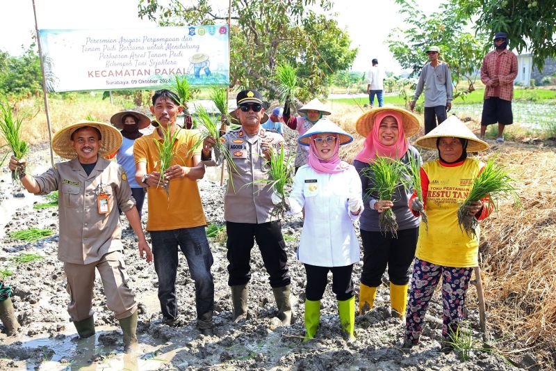 Pemkot Surabaya Luncurkan Pompa Irigasi untuk Tingkatkan Ketahanan Pangan