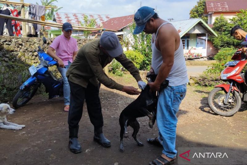 Dinas Pertanian Rejang Lebong Terima 3.000 Dosis Vaksin HPR