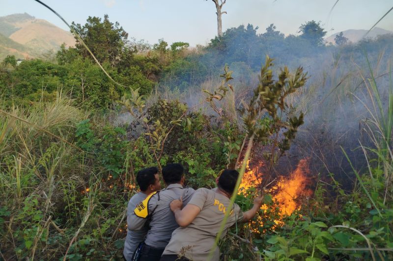 Kebakaran Hutan TN Gunung Rinjani Dipadamkan, Ayo Jaga Alam