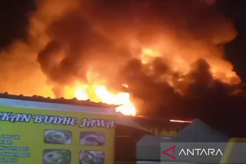 Kebakaran Melanda Permukiman di Sungai Dama, 10 Bangunan Terbakar