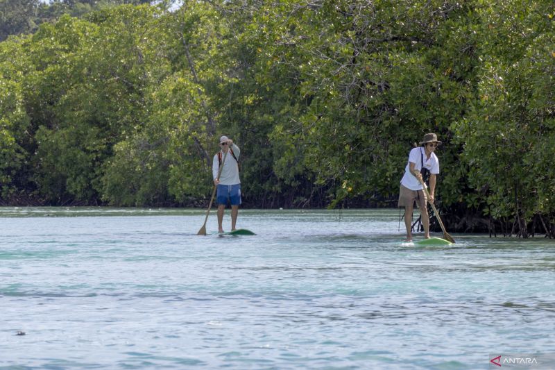 Dua wisatawan asing bermain kayak di salah pulau di Kabupaten Kepulauan Mentawai, Sumatera Barat. (ANTARA/Muhammad Zulfikar)